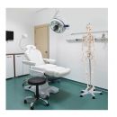 Ανθρώπινος Σκελετός Ανατομίας - Διδακτικό Πρόπλασμα με Βάση Στήριξης 178 x 37.5 x 20 cm Hoppline HOP1001167