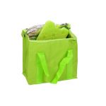 Σετ Ισοθερμική Τσάντα Χειρός 7 Lt με 1 Παγοκύστη Πράσινο Φούξια Bakaji 01824938