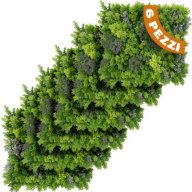 BAKAJI Σετ &hellip;