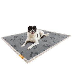 Feandrea Α &hellip;