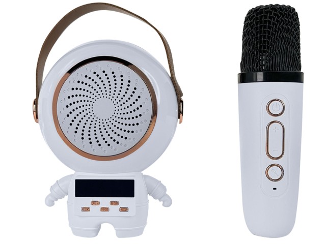 Verk Group Ασύρματο Σετ Καραόκε με Bluetooth Ηχείο και 2 Μικρόφωνα 5907451364826