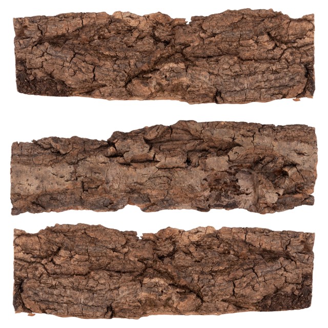 Galileo Σετ 3 Φλοιών Φελλού 22x65 cm - Santas House 5923123