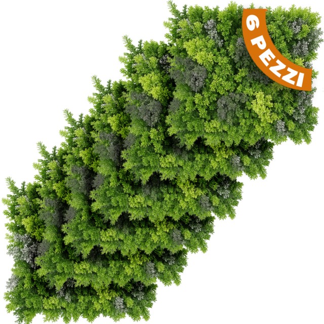 BAKAJI Σετ 6 Διακοσμητικά Πάνελ για Εσωτερικούς και Εξωτερικούς Χώρους από Λειχήνες Τοίχου 50x50εκ 02842529