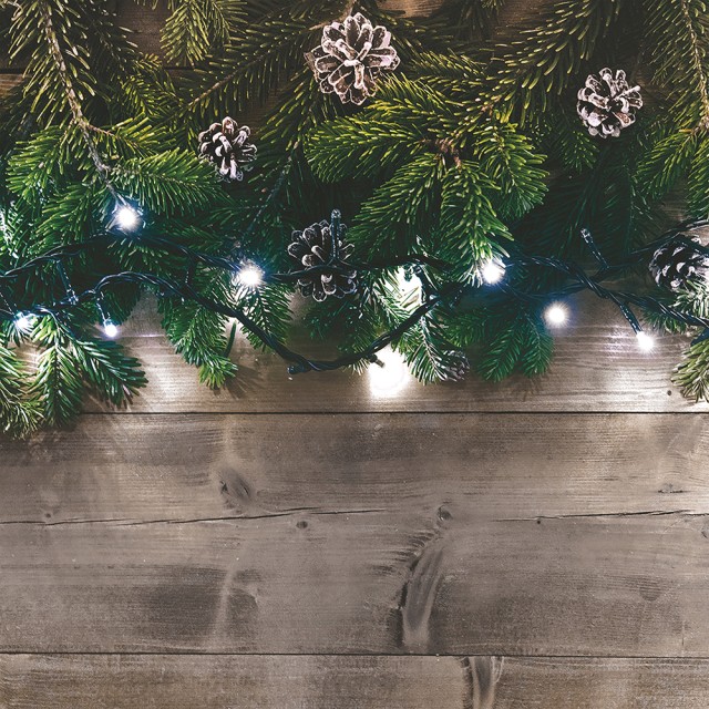 Kooper Filo 1000 LED ψυχρό λευκό 30 m εξωτερικής χρήσης 8 εφέ φωτισμού Santas House by Kooper 5921238