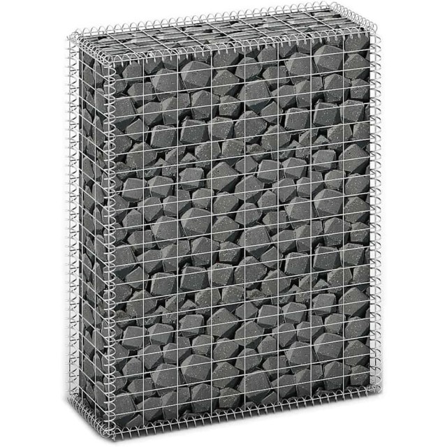 BAKAJI Γαλβανισμένο Συρματόπλεγμα Καλάθι 100x80x30cm για Κήπο 02001582