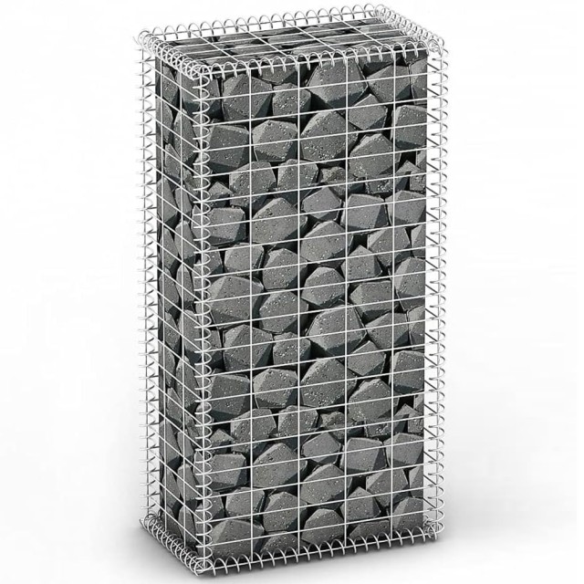 BAKAJI Γαλβανισμένο Συρματόπλεγμα Γκαμπιόνων 100x50x30cm για Κήπο 02001584