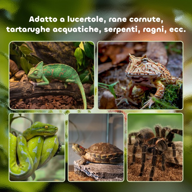 Γυάλινο Ενυδρείο για Ερπετά / Terrarium  με Κλειδαριά και Θερμόμετρο με Μεταλλικό Πλέγμα 50x30x25cm - Μαύρο D40-015V01 PawHut