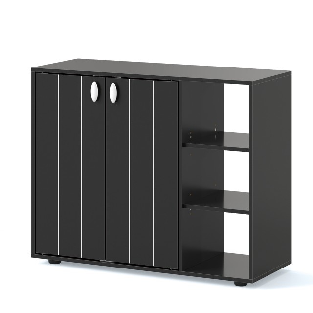Costway Μαύρο Ντουλάπι Παπουτσιών με 2 Πόρτες & Ρυθμιζόμενα Ανοικτά Ράφια JV12999DK
