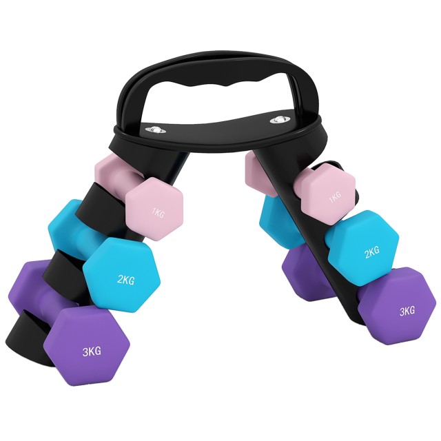 SPORTNOW Σετ 6 Αλτήρων 12 κιλών (2x1 kg, 2x2 kg, 2x3 kg) με Βάση/Λαβή Kettlebell, από Μέταλλο και PP, σε Ροζ, Γαλάζιο και Μωβ A91-360V00PK