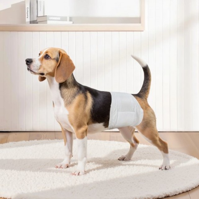 VEVOR Πάνες Μιας Χρήσης για Αρσενικούς Σκύλους Υπεραπορροφητικές S 96 Τεμάχια CWNBFDGG96PSFS6W5001V0