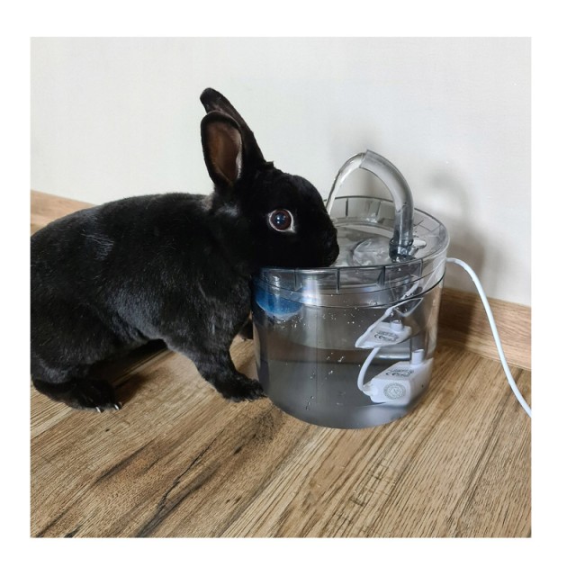 Αυτόματη Ποτίστρα Συντριβάνι 2 Lt για Κατοικίδια Purlov 20700