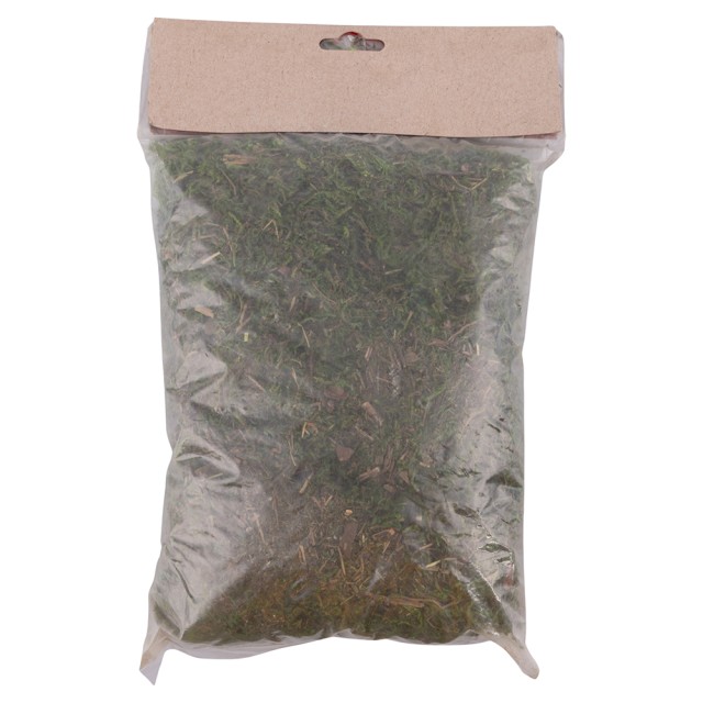 Galileo Φυσική Μούχλα για Φάτνη 50 g Πράσινη Santas House 5923124