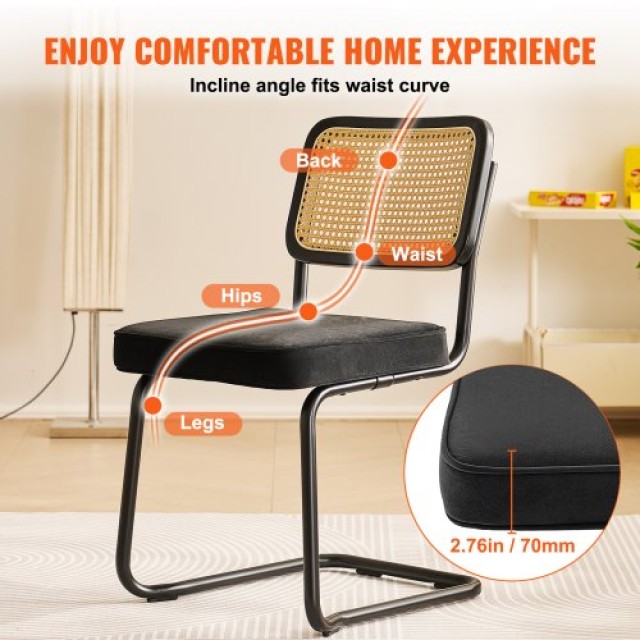 VEVOR Σετ 2 τμχ Καρέκλες Τραπεζαρίας με Βελούδινη Επένδυση και Rattan 45 x 57 x 83,5 cm Μαύρο TBYCYTERHS20VLE0IV0