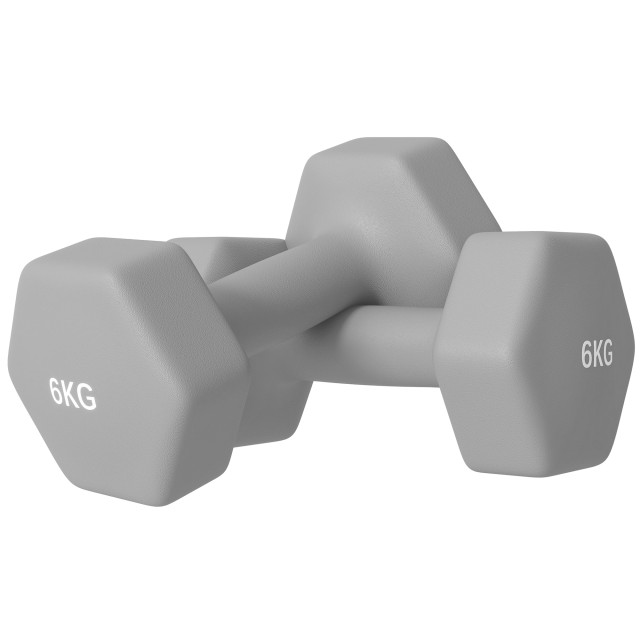 SPORTNOW Σετ 2 Εξάγωνων Αλτήρων 2x6 kg από Μέταλλο και Πλαστικό με Αντιολισθητική Λαβή, 22x10x10 cm, Γκρι A91-315V05GY