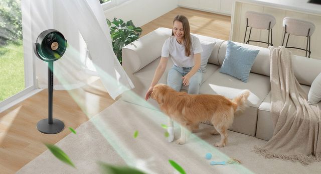 Levoit Επιδαπέδιος Ανεμιστήρας Ορθοστάτης Levoit Smart Pedestal Fan Τηλεχειριστήριο & 12 Ταχύτητες Γκρι LPF-R432-AEUR