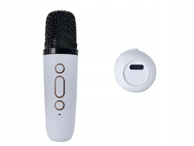 Verk Group Ασύρματο Σετ Καραόκε με Bluetooth Ηχείο και 2 Μικρόφωνα 5907451364826