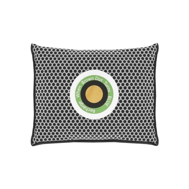 Επαναχρησιμοποιούμενο Μαξιλάρι - Αφυγραντήρας Αυτοκινήτου 550g SPM 11001