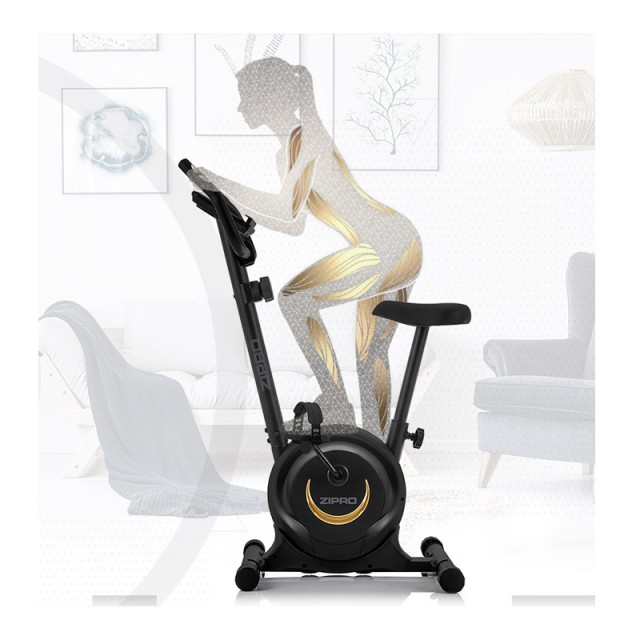 Μαγνητικό Ποδήλατο Γυμναστικής Zipro One S Gold 5941659
