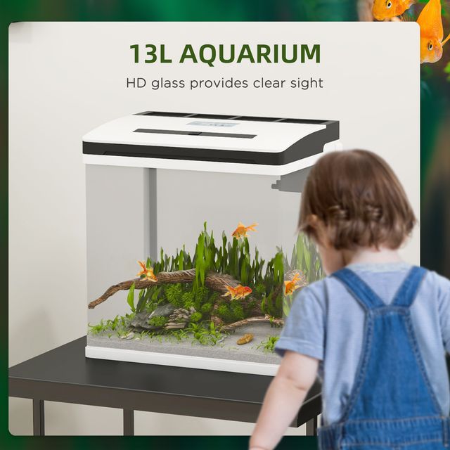 Ενυδρείο 13 lt με LED Φωτισμό & Φίλτρο Βροχής – Γυαλί HD & ABS 29 x 20 x 30,5 cm D61-004V90WT PawHut