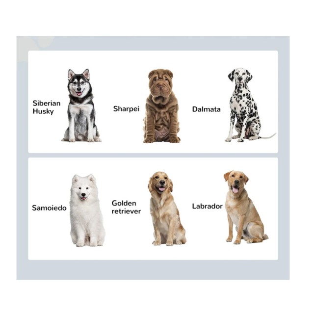 Σετ 2 Ανοξείδωτα Μπολ Γεύματος με Ξύλινο Συρτάρι για Κατοικίδια 60 x 30 x 36 cm PawHut D08-041V00WT