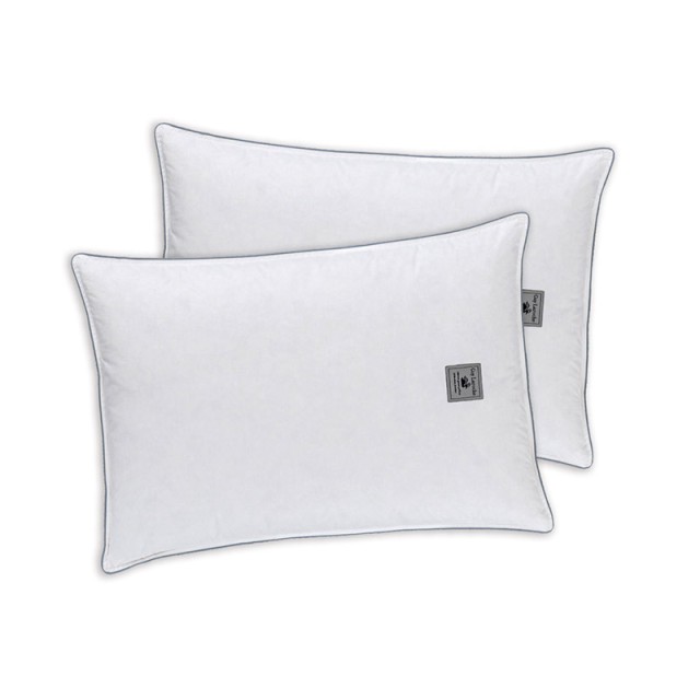 Σετ Μαξιλάρια Ύπνου Ballfiber 50 x 70 cm 2 τμχ Virgin Guy Laroche 1115030218003