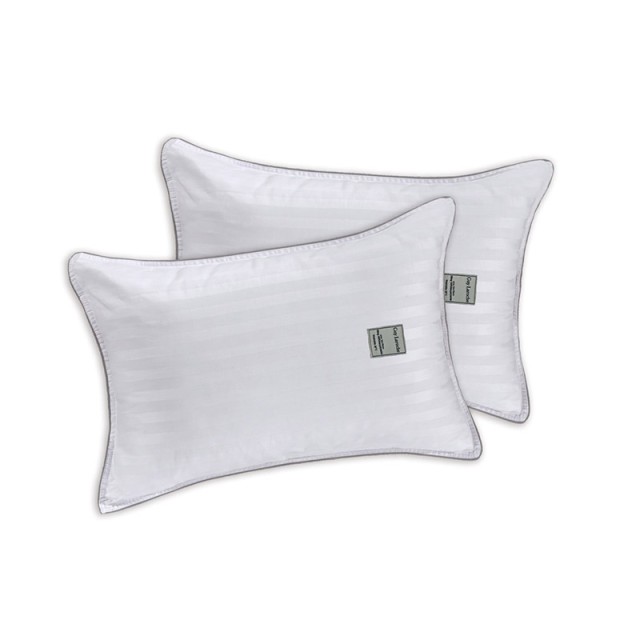 Σετ Μαξιλάρια Ύπνου Microfiber 50 x 70 cm 2 τμχ Firm Cotton/Poly Μαλακό Guy Laroche 1115030221003