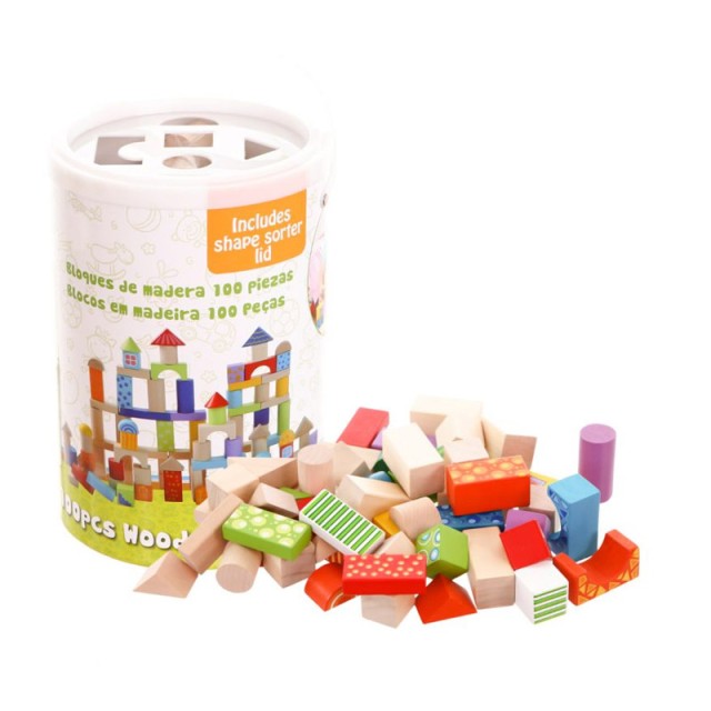 Σετ Ξύλινα Τουβλάκια σε Κουβά 100 τμχ Ecotoys 2007