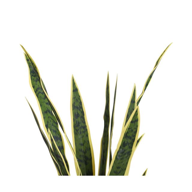 Τεχνητό Φυτό Sanseveria 80 cm Outsunny 844-267